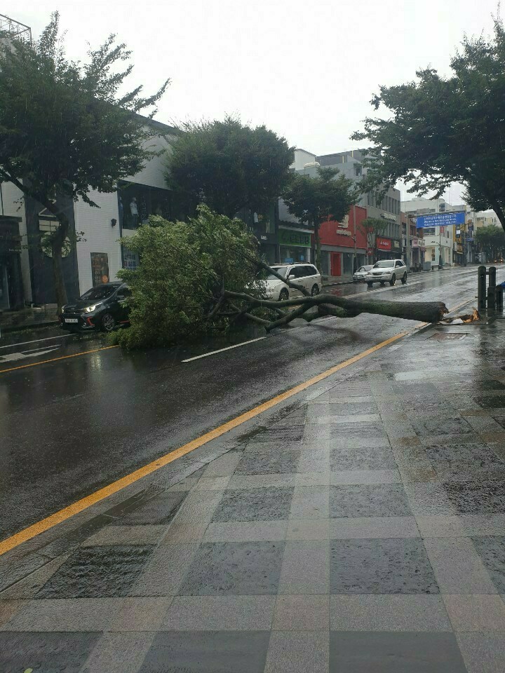 제주도민이야.._1.jpeg