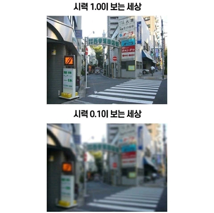 시력 1.0과 0.1이 바라보는 세상._4.jpg