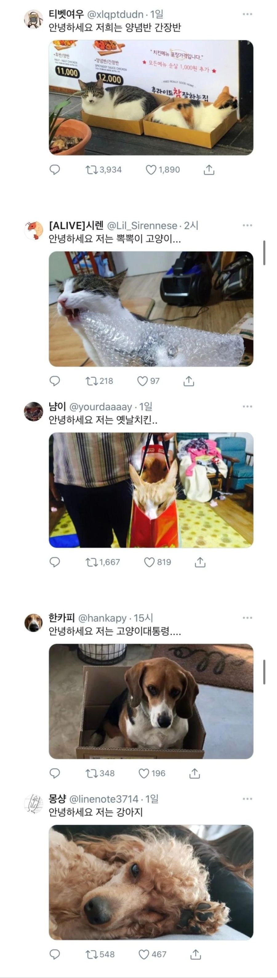 트위터 코리아 공식계정이 직접 박제해 논란된 타래;;;_3.jpg