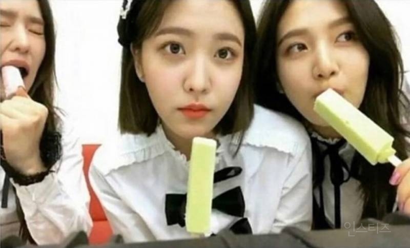 메로나와 비비빅의 차이.jpg_1.jpg