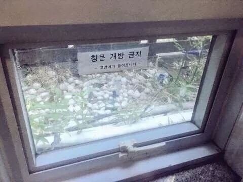 창문 개방 금지.jpg_1.jpeg