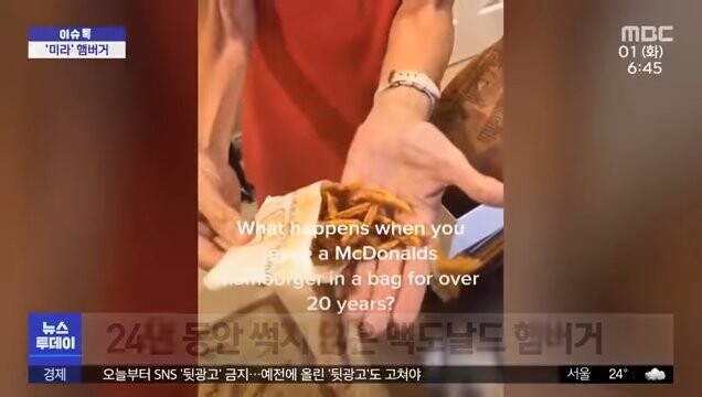 24년 동안 부패하지 않은 햄버거_2.jpg