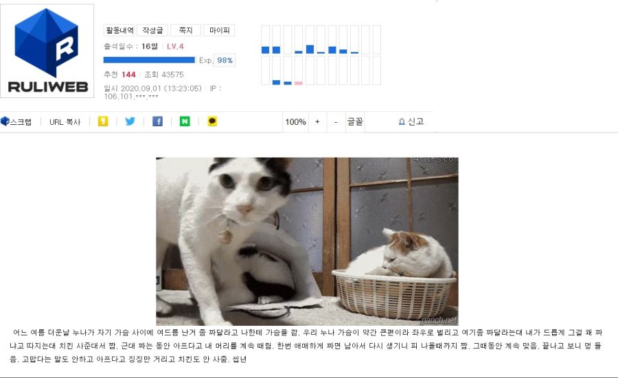 제목 없음.jpg