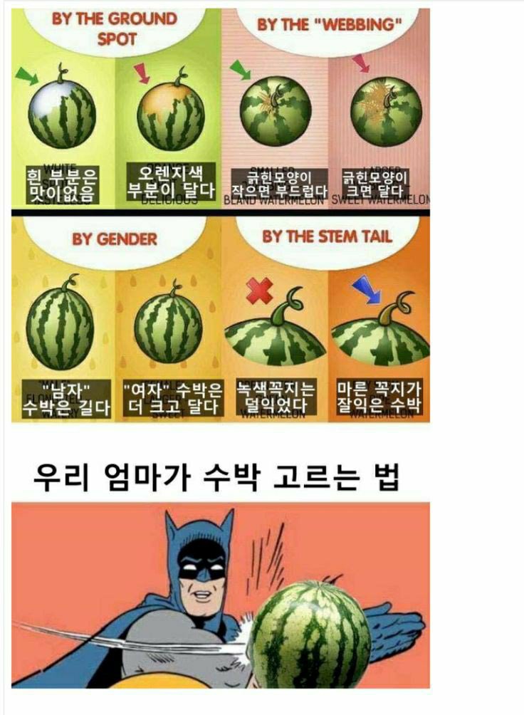 좋은 품질의 수박을 고르는 방법.jpg_1.jpeg