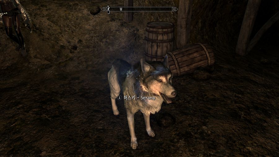 alsdn9941_TheElderScrollsVSkyrimSpecialEdition_20200804_02-30-31.png