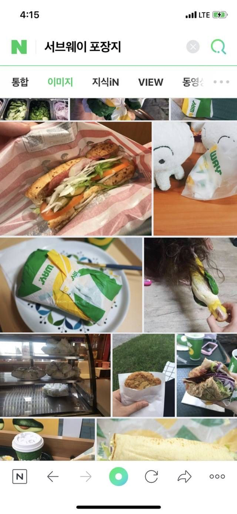 앵무새랑 머리채잡고 싸움_4.jpeg