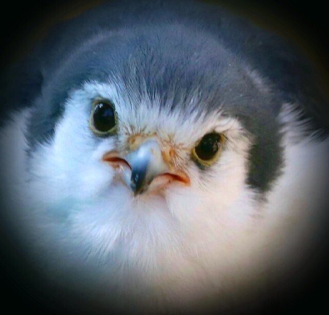 작고 귀여운 매형_4.jpg