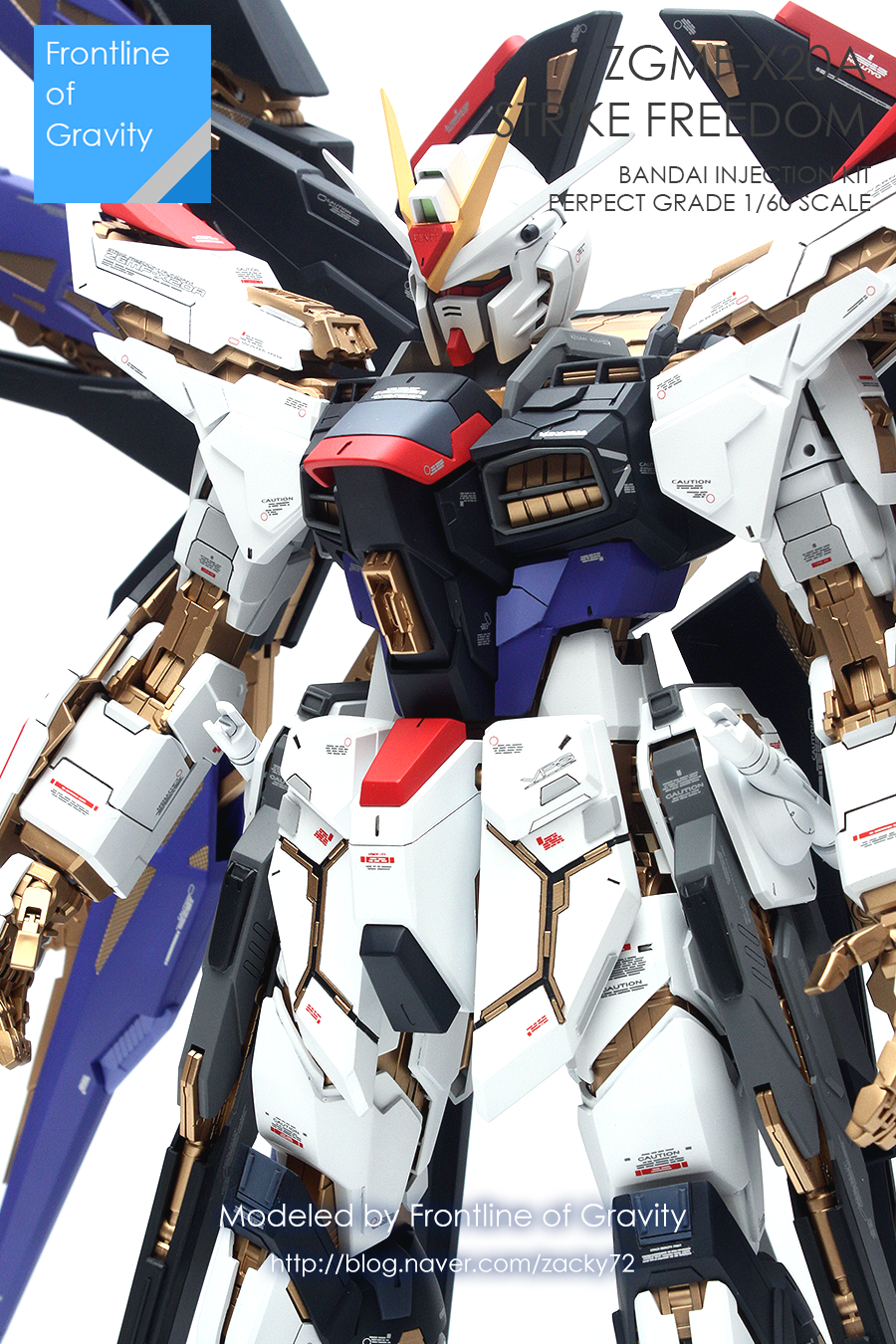 pg_strikefreedom_fin06.png