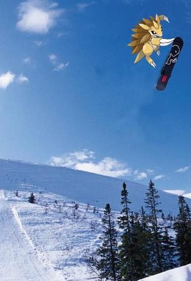 고지보딩이 2개_1.jpg