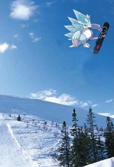 고지보딩이 2개_2.jpg