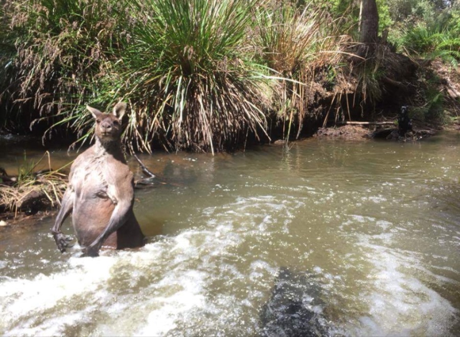 이 강을 건너려면 나를 쓰러뜨리고 가야한다_2.jpeg