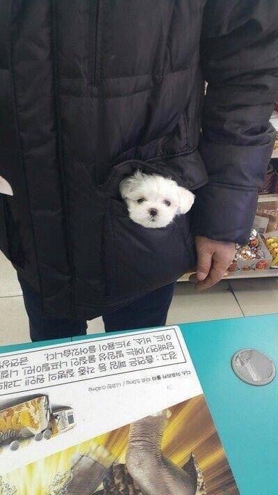 여긴 어디..?_1.jpeg