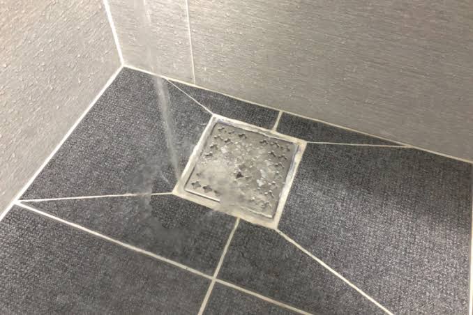 펌,극혐주의)기이한습관을가진 여친을가진 익붕이_2.jpeg