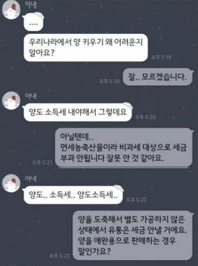 한국에서 양 키우기 힘든 이유_1.jpg