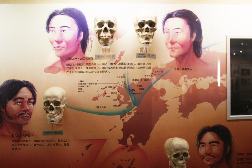 서서히 밝혀지는 일본인 유전자의 진실 (fect.한국인)_1.jpg