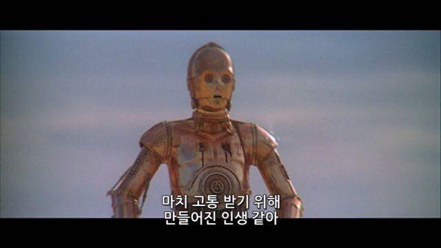 미국에서 동양인의 위치 | (백업)유머 게시판(2020-2021) | RULIWEB 미국에서 동양인의 위치 | (백업)유머 게시판(2020-2021) | Ruliweb