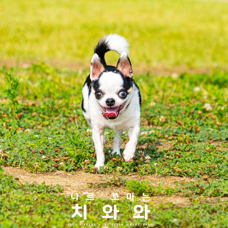 DSC05983-편집.jpg