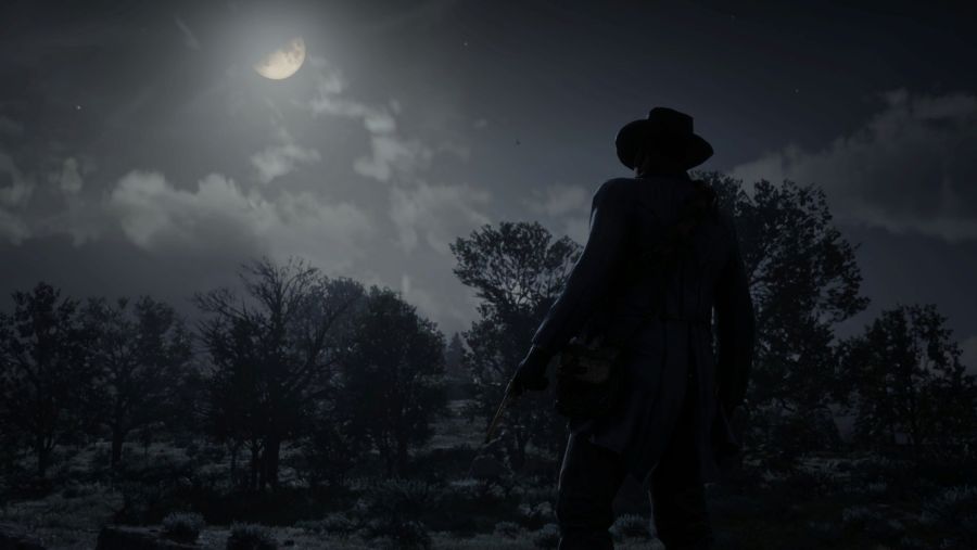 Red Dead Redemption 2 2020-10-11 오전 2_56_25.png