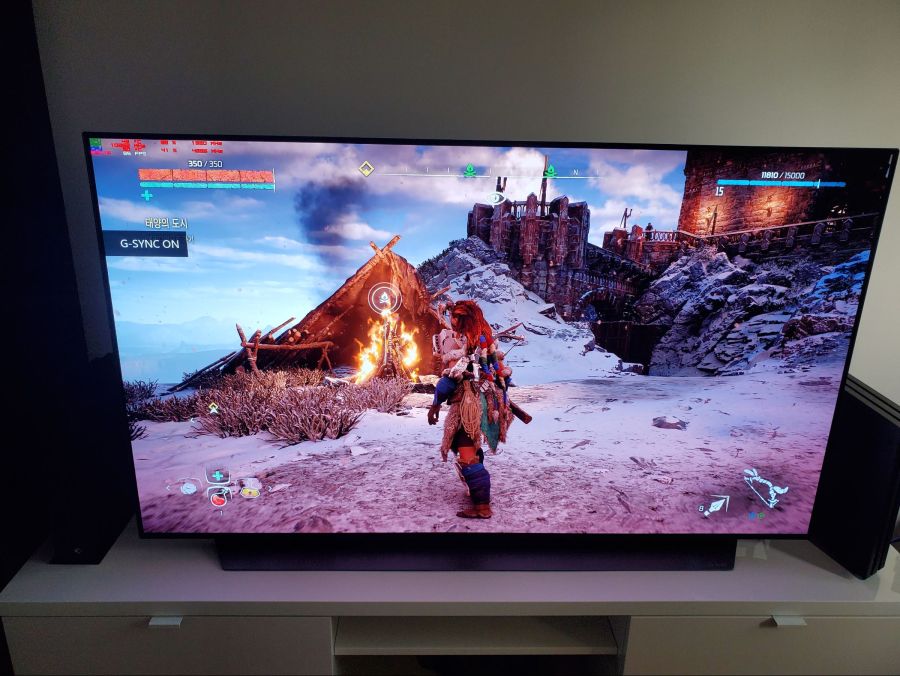 OLED C9 베타 펌웨어 업데이트후 완전체가 되었습니다(Feat RTX3090)_9.jpg