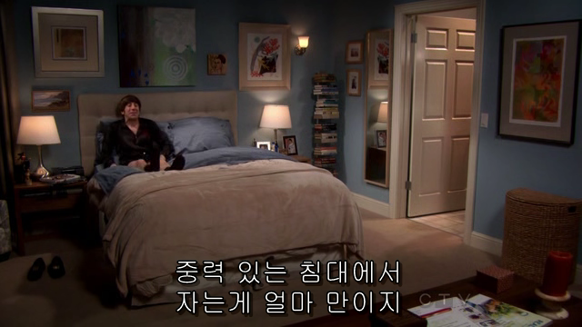 The.Big.Bang.Theory.S06E05.HDTV.XviD-AFG.avi_000629723.png