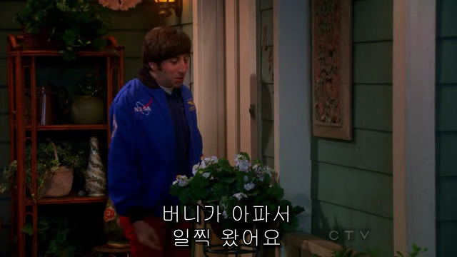 The.Big.Bang.Theory.S06E04.HDTV.XviD-AFG.avi_000763594.png