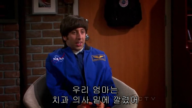 The.Big.Bang.Theory.S06E04.HDTV.XviD-AFG.avi_000967084.png