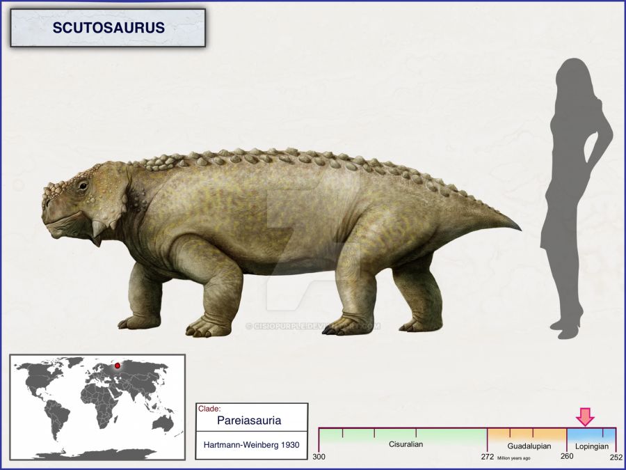 scutosaurus_by_cisiopurple_ddyfja5-fullview.png
