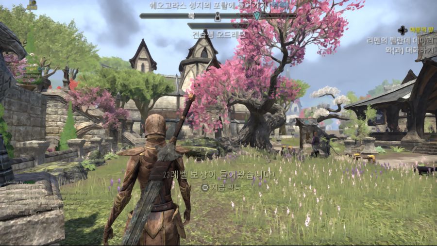 Elder Scrolls Online Screenshot 2020.11.03 - 10.47.45.92.png