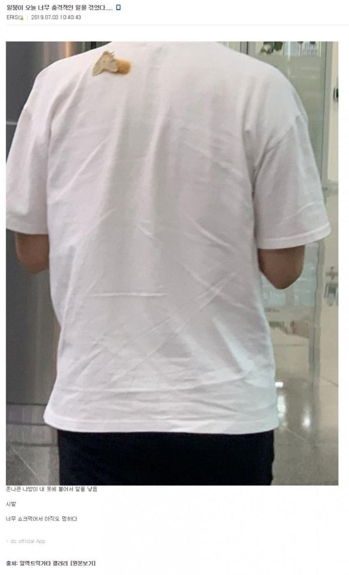 혐)나방이 알 낳은....._1.jpeg