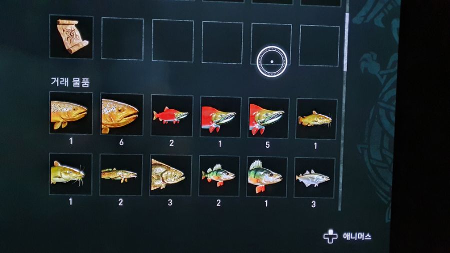 연어 갈색송어 대형종 쉽게 잡는곳_4.jpg