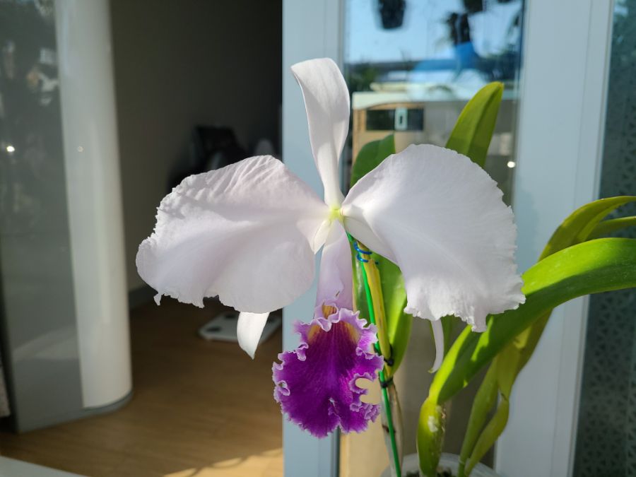 확실히 무지 큽니다._1.jpg