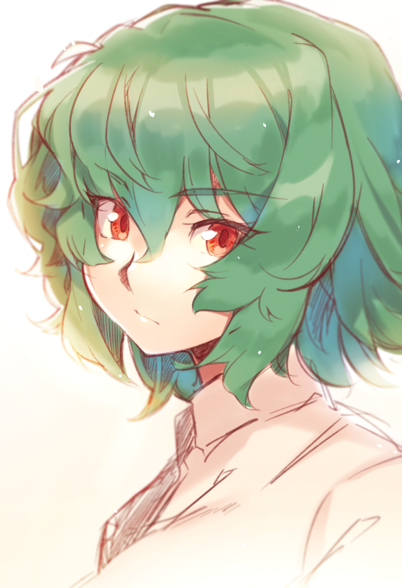 Kazami.Yuuka.full.3126596.png