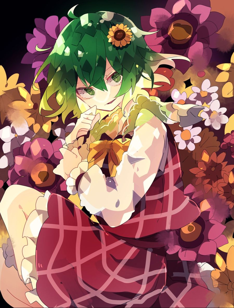 Kazami.Yuuka.full.3128595.jpg