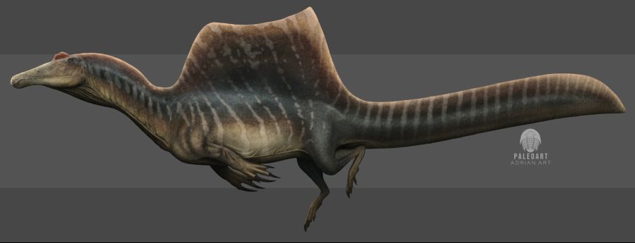 adrianart-digital-illustration-spinosaurus-version-tejido-oral.jpg