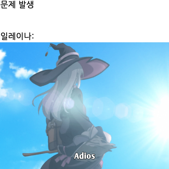 마녀의 여행) 레딧의 일레이나 평가_1.png