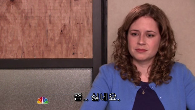 The.Office.S05E13.PROPER.HDTV.XviD-2HD.avi_000906381.png