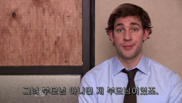 The.Office.S05E13.PROPER.HDTV.XviD-2HD.avi_001359316.png