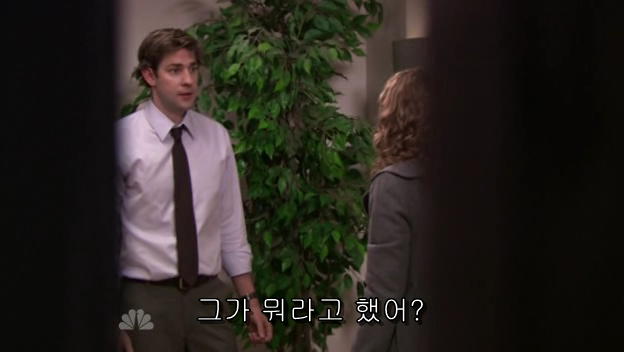 The.Office.S05E13.PROPER.HDTV.XviD-2HD.avi_002193426.png