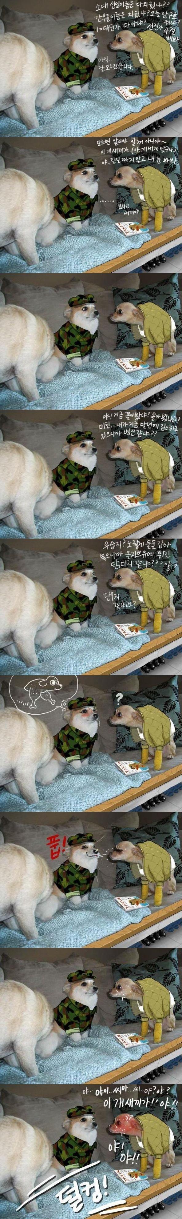 이등병 강아지_1.jpg
