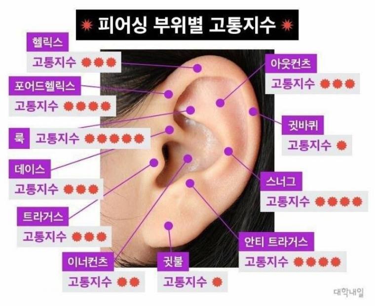 피어싱 부위별 고통지수_1.jpg
