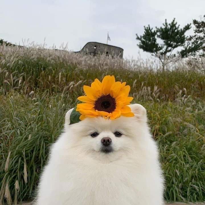 귀여운 글로 추천을 받을거임_2.jpg