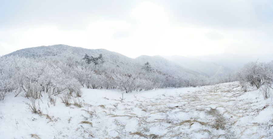 180109ㆍ114714_태백산,문수봉~천제단_N1091366_15_stitch.jpg