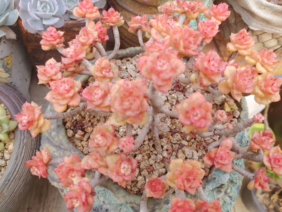 겨울철에는 물이 들어서 좋아요._1.jpg