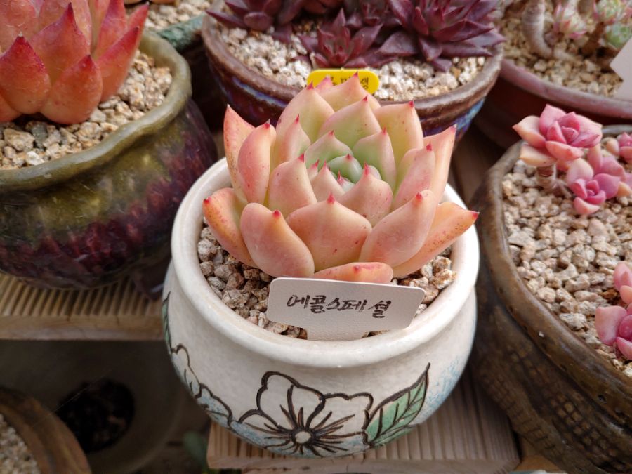 겨울철에는 물이 들어서 좋아요._2.jpg