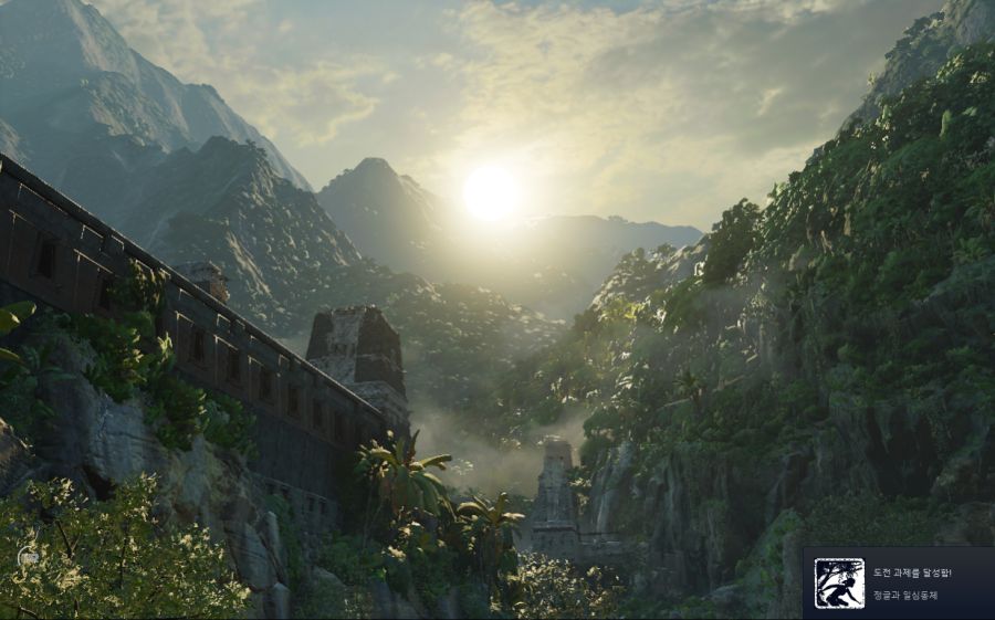 정글과 일심동체 완료_1.png