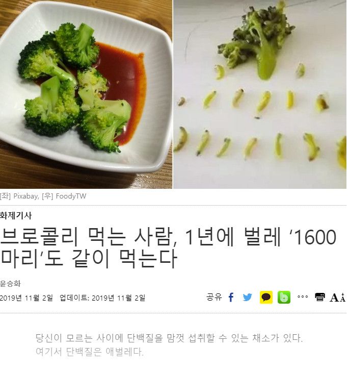 단백질 섭취를 도와주는 채소.JPG_2.jpg
