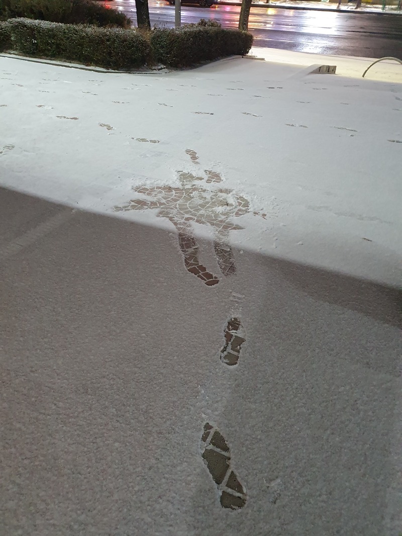 어제자 폭설때 나타난 피해자들 . JPGIF_5.jpeg