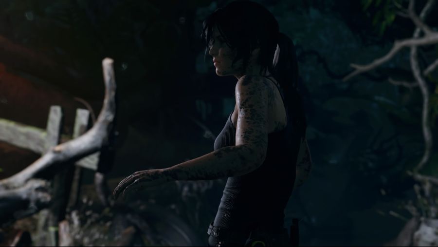 Shadow of the Tomb Raider_4 (2).jpg