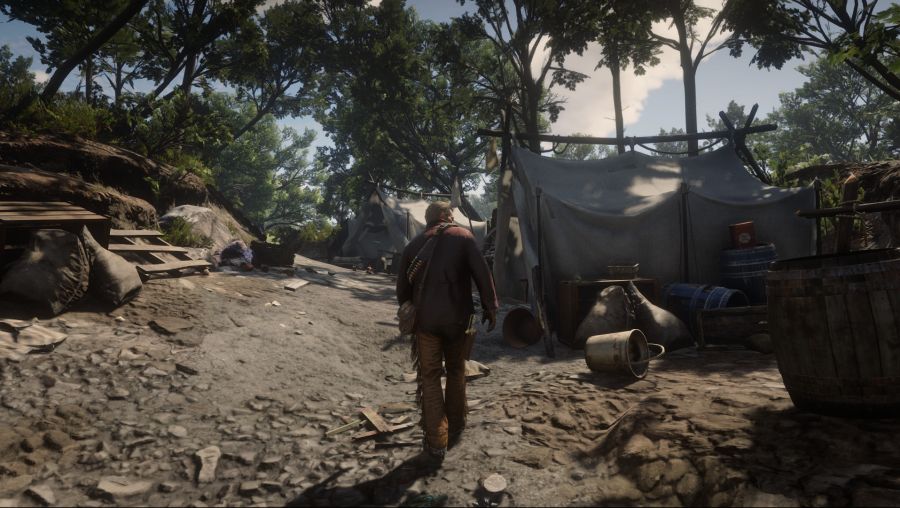 Red Dead Redemption 2 Screenshot 2021.01.18 - 20.26.08.50.png