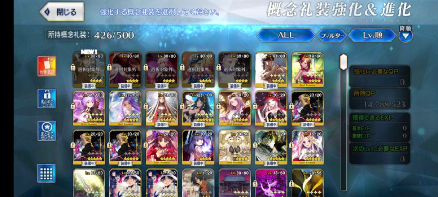 Screenshot_20210122-003322_FateGO.jpg